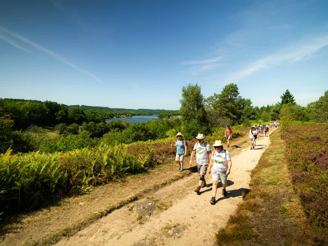Randonnez Vous 2023 Lac De Saint Pardoux