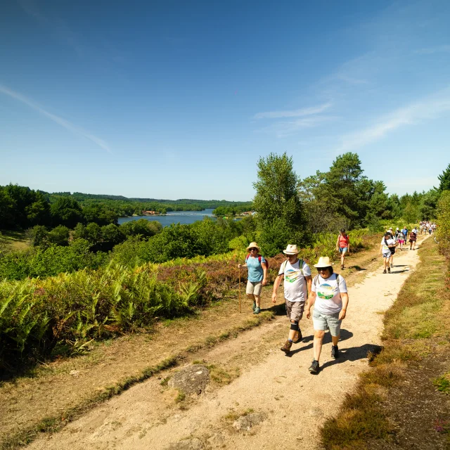 Randonnez Vous 2023 Lac De Saint Pardoux
