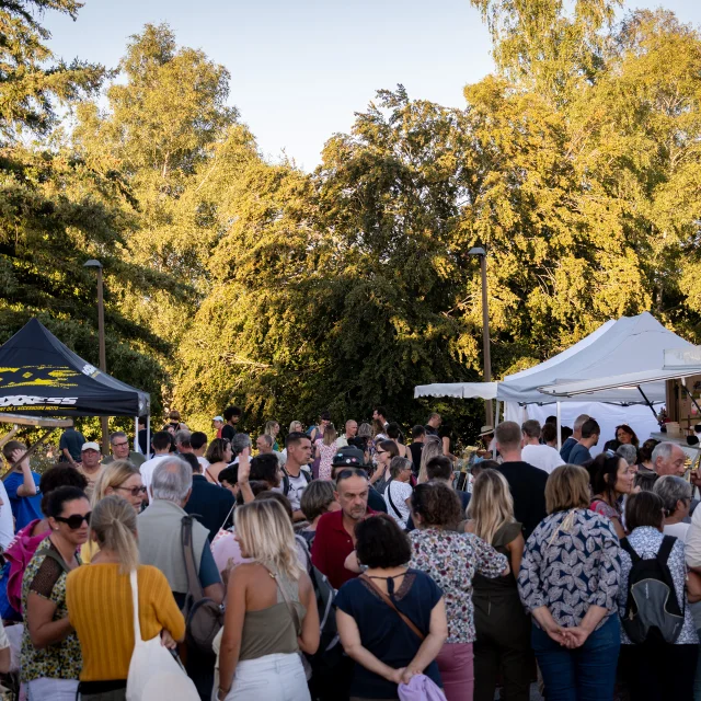 Marche Semi Nocturne Lac De Saint Pardoux 2024